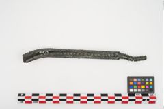 Foto von Bronzeraspel (NHMW-PRAE-025098)